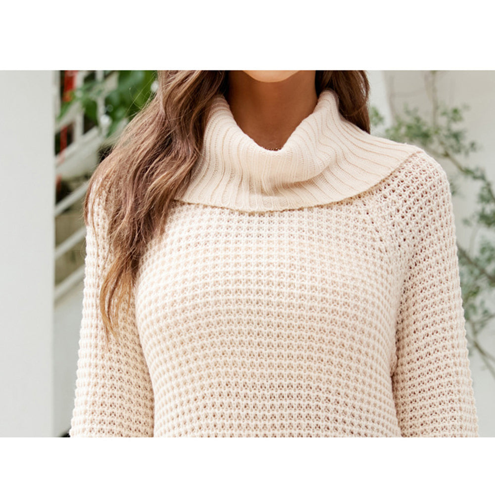Solid Versatile Knit Slit Turtleneck