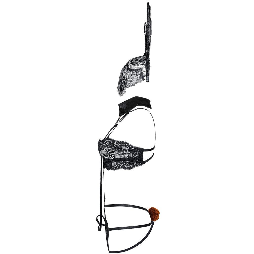 Sexy Bunny Costume Large Size Cosplay Perspective